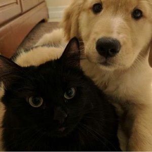 Meet your Posher, Luna